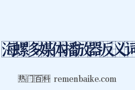 海螺多媒体播放器反义词是什么意思的图片